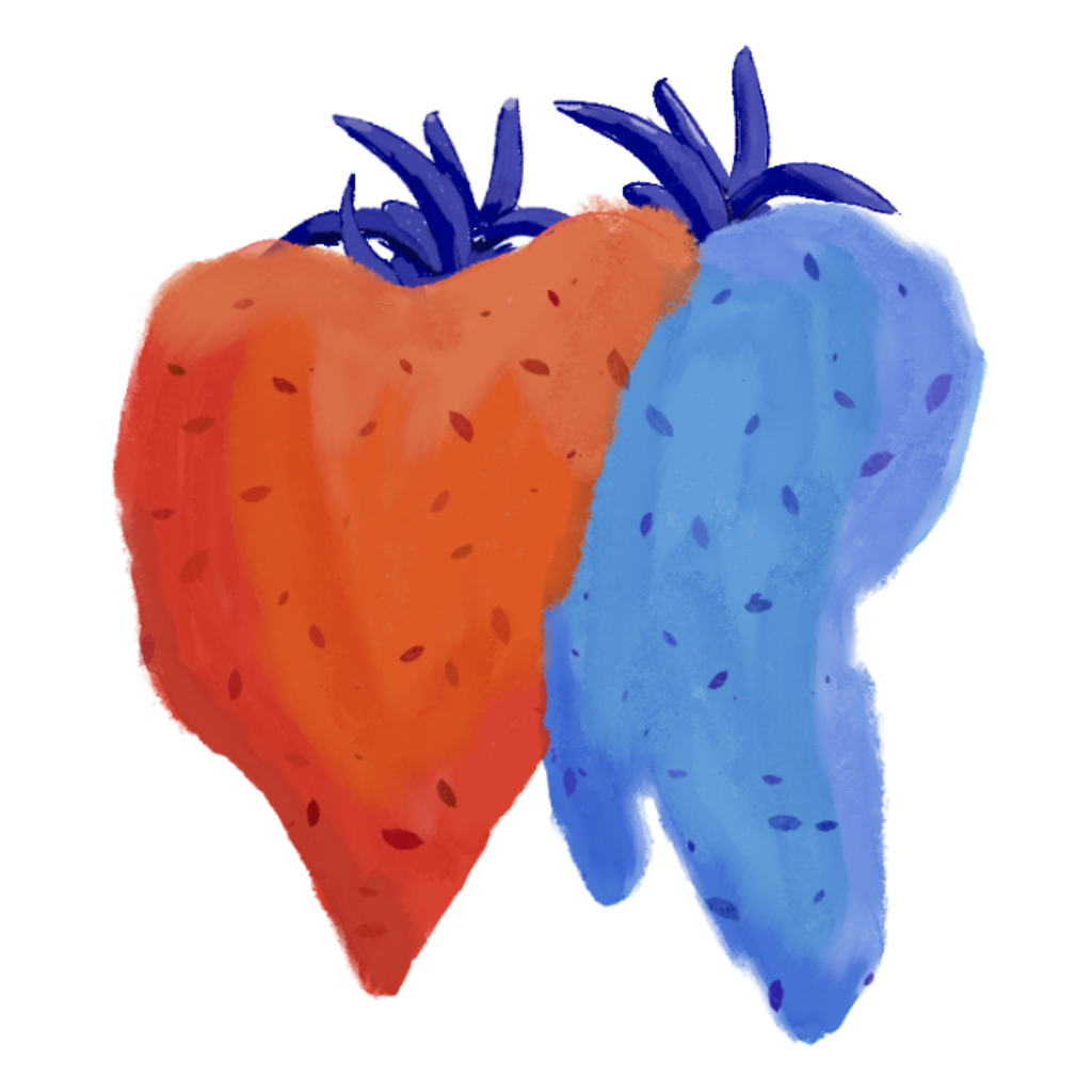 Flawblerry - Game Asset